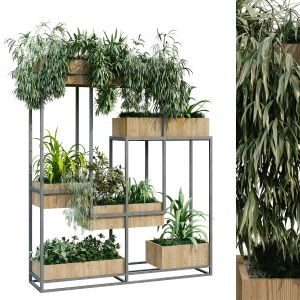Vertical Plant In Box Set 239