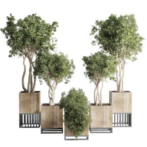 Wooden Box Plants On Stand - Collection Of House