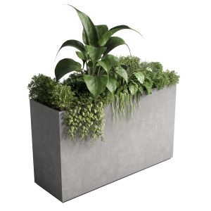 Box Plants On Stand - Collection Of Houseplants