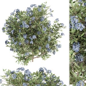 Blue Flower Bush - Bush Set 31
