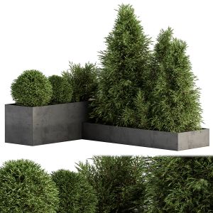 Outdoor Plant Set 231 - Plant Box With Tree