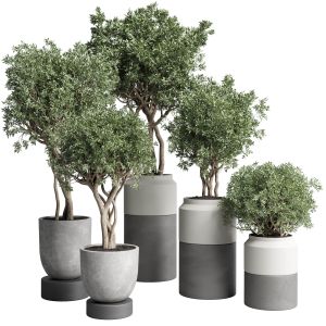 Collection Indoor Plant 189 Concrete Dirt Vase Pot
