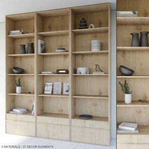 Bookcase And Rack 01