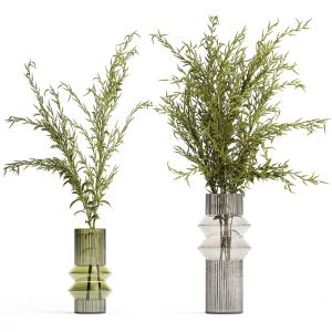 Bouquets Of Green Branches Of Solidago Flowers