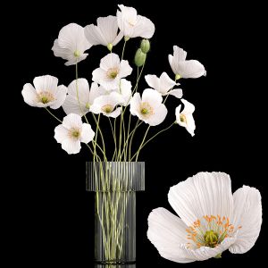 Bouquet Of White Wildflowers In A Vase With Poppy