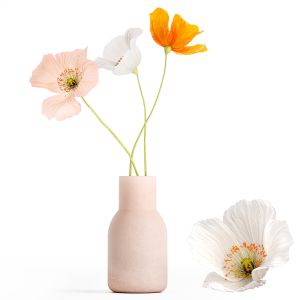 Small Bouquet Of Wildflowers Poppy In A Vase