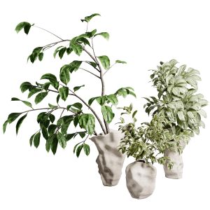 Branches Plant In Brown Concrete Dirty Vase 49