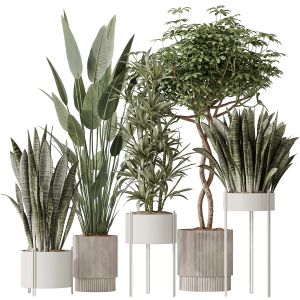 Indoor Plants Set 58