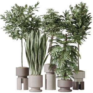 Indoor Plants Set 60
