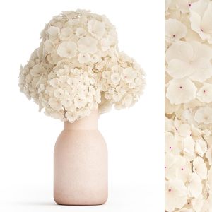 Small Bouquet Of White Flowers Hydrangea Vase