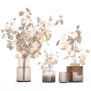 Set Of Bouquets Of Dried Flowers Lunaria Branches