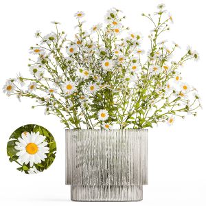 Small Bouquet Of Wildflowers Daisies Chamomile