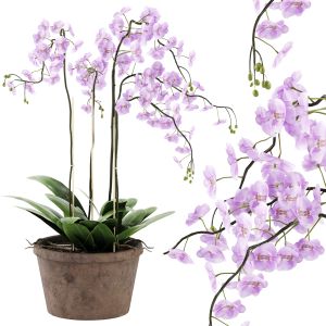 Faux White Phalaenopsis Orchid In Rustic Pot