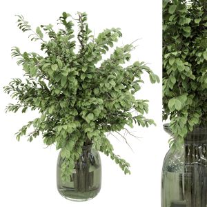 Bouquet Green Branch In Glass Vase 50