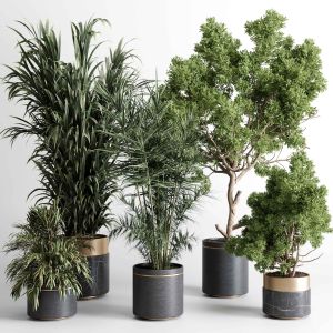 Indoor Plant 474 Pot Plant Tree Metal And Marble D