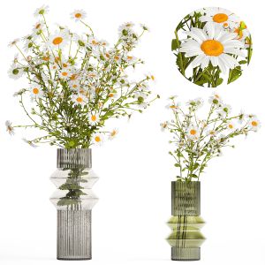 Bouquet Of White Wildflowers Chamomile Daisies 413