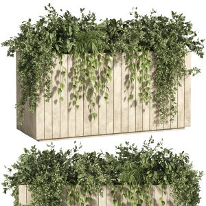 Box Of Plants-indoor Set 78