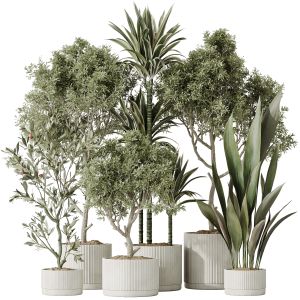 Indoor Plants Set 63