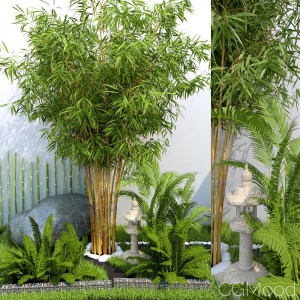 Bamboo Plant 2