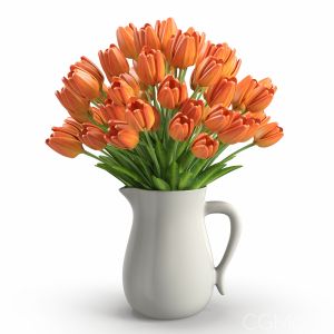 Orange Tulips In Jug