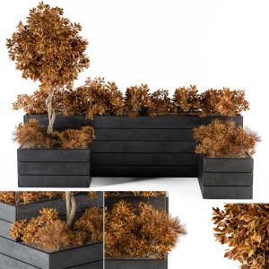 Outdoor-plants Flower Box Fall Color