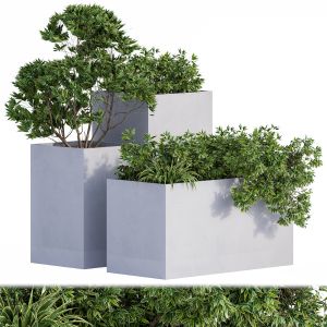 Outdoor Plants Box Concrete