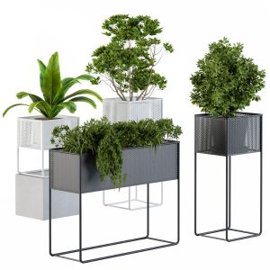 Home Set Plants Metal Box