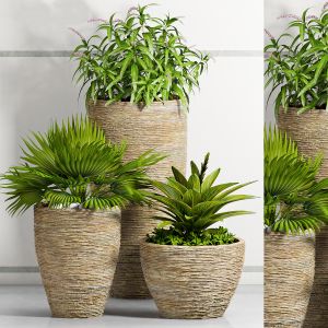 Decorative Plant Set - 17