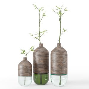 Bamboo Set01_combination Of Wood & Glass Vase