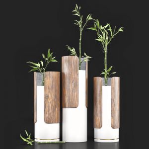Bamboo Set 02_combination Of Wood & Ceramic Vase