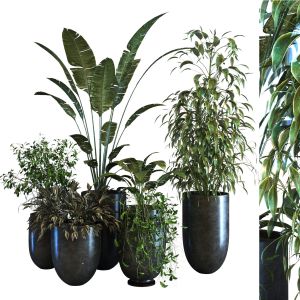 Plant In Vase Se 054