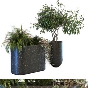 Plant In Vase Set 064