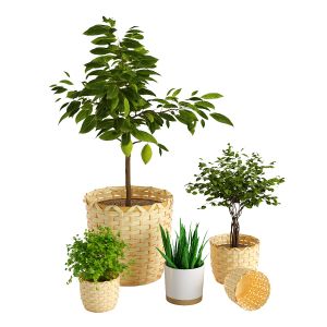 KAFFEBÖNA Plant Pot