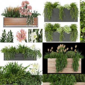Collection plant box vol 1