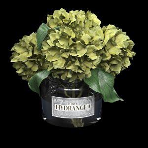 Bouquet Of Hydrangea