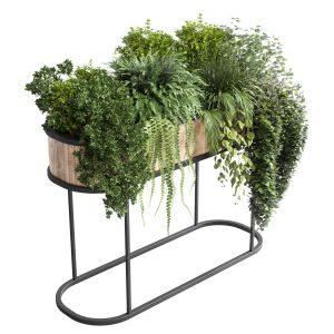 Stand Plant Box  Collection Indoor Plant 184 Wood