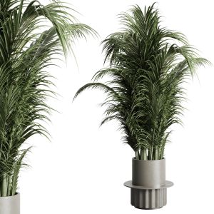 Indoor Plant 228 Pot Plant Palm Concrete Dirt Vase