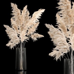 Bouquet Dried Flowers From Pampas Grass In A Vase