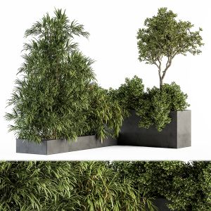 Outdoor Plant Set 229 - Plant Box With Tree