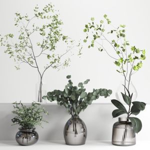 Collection Plants Bouquet Indoor Glass Vase 07