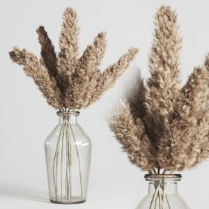 Pampas Dry Plant Bouquet Glass Vase 14