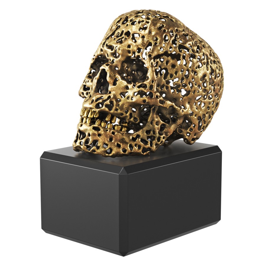 Skull Bronze by Q3dim