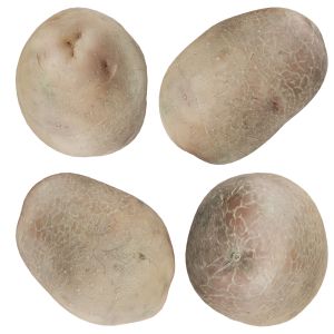 Potato | 3d Scan