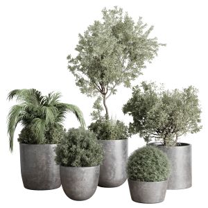 Collection Outdoor Indoor Plant 109 Concrete Dirt