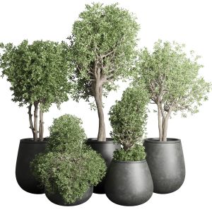 Tree Pots And Shrubs-bush 75 Concrete Dirt Vase Fo