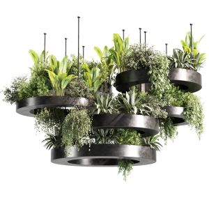 Indoor Plants-hanging Plants Set-30