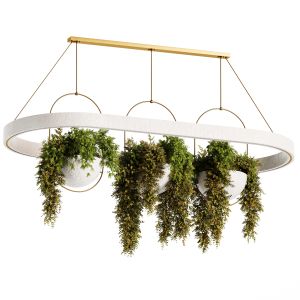 Indoor Plants-hanging Plants Set-29
