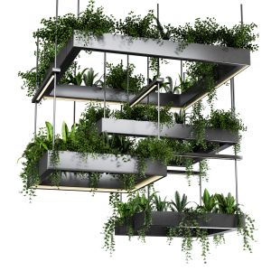 Indoor Plant Hanging Plants In Metal Box Set24