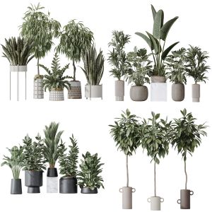 5 Different SETS of Plant Indoor. SET VOL165
