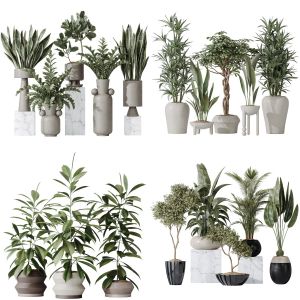 5 Different SETS of Plant Indoor. SET VOL166